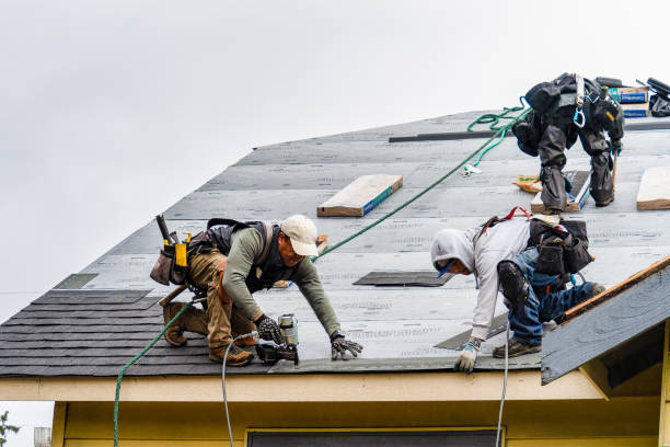 Professional Flat Roof Repair technician working in Hull, IA